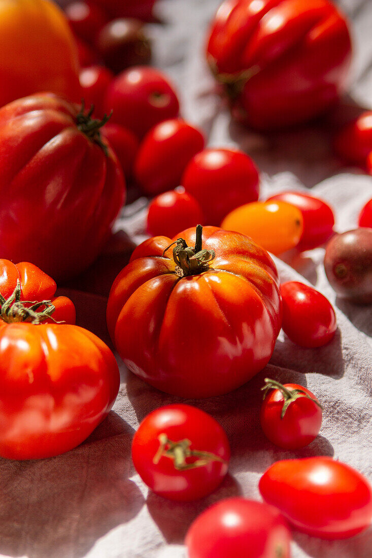 Verschiedene Tomatensorten auf weißem Leinentuch