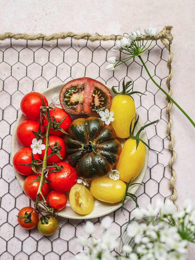 Vegetarian tomato salad served on plate in a rack on gray concrete table