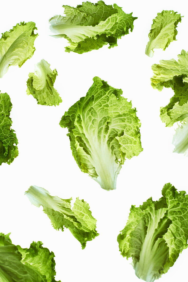 Lettuce leaves on a white surface