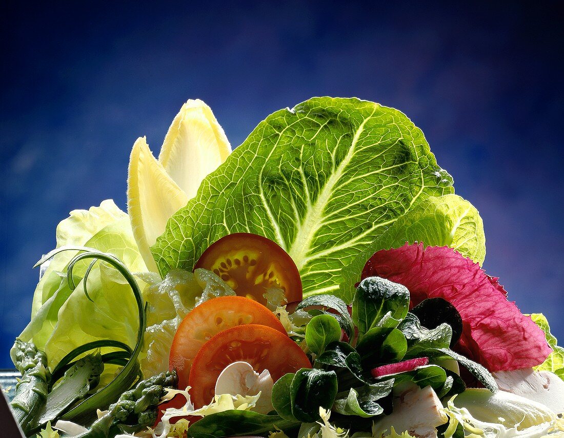 Zutaten für einen gemischten Salat vor blauem Hintergrund