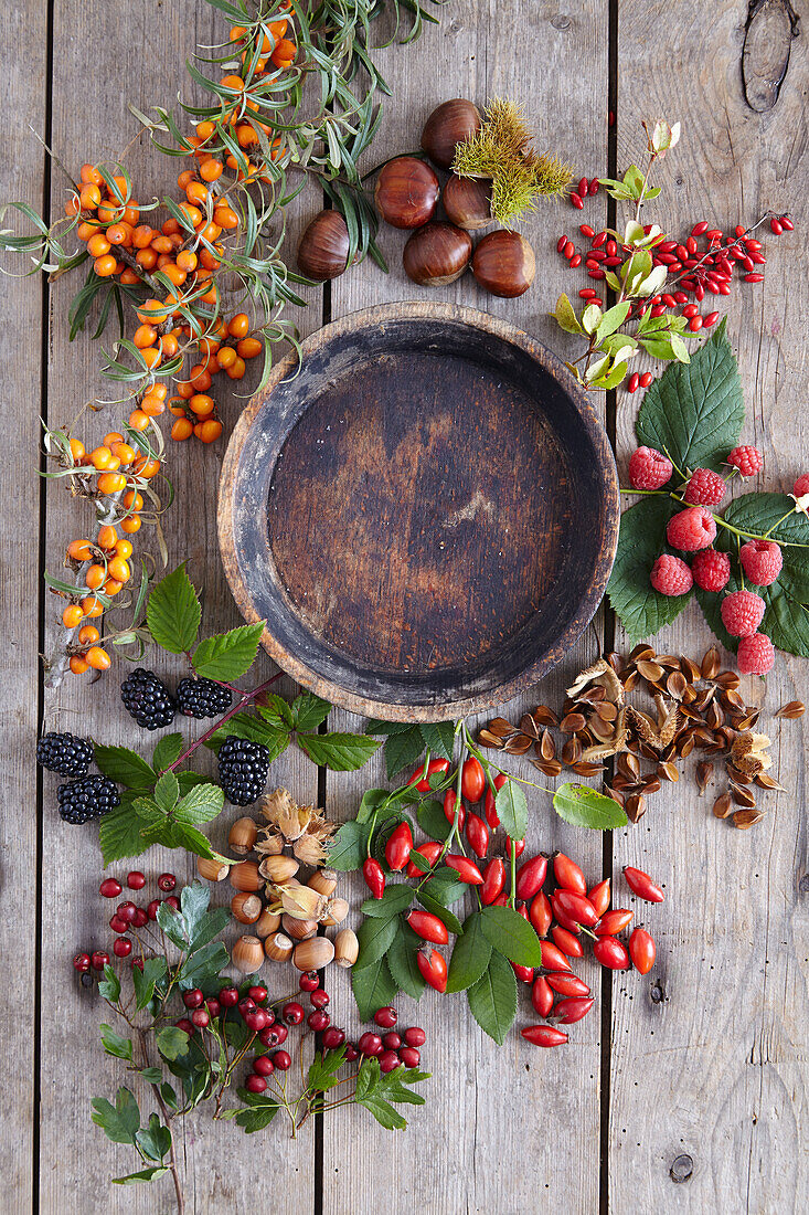 Leere Holzschale, umgeben von verschiedenen Beeren, Nüssen und Herbstfrüchten