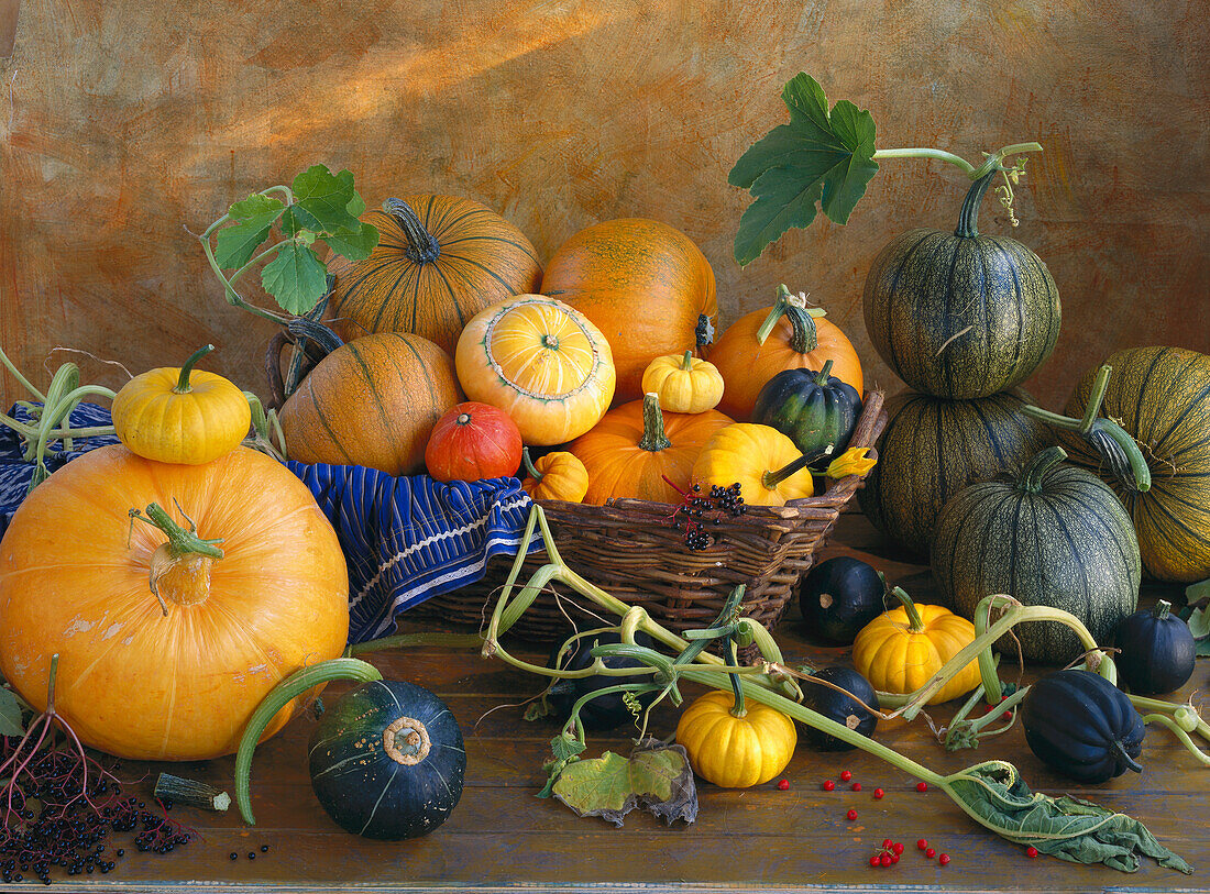 Still life of pumpkins
