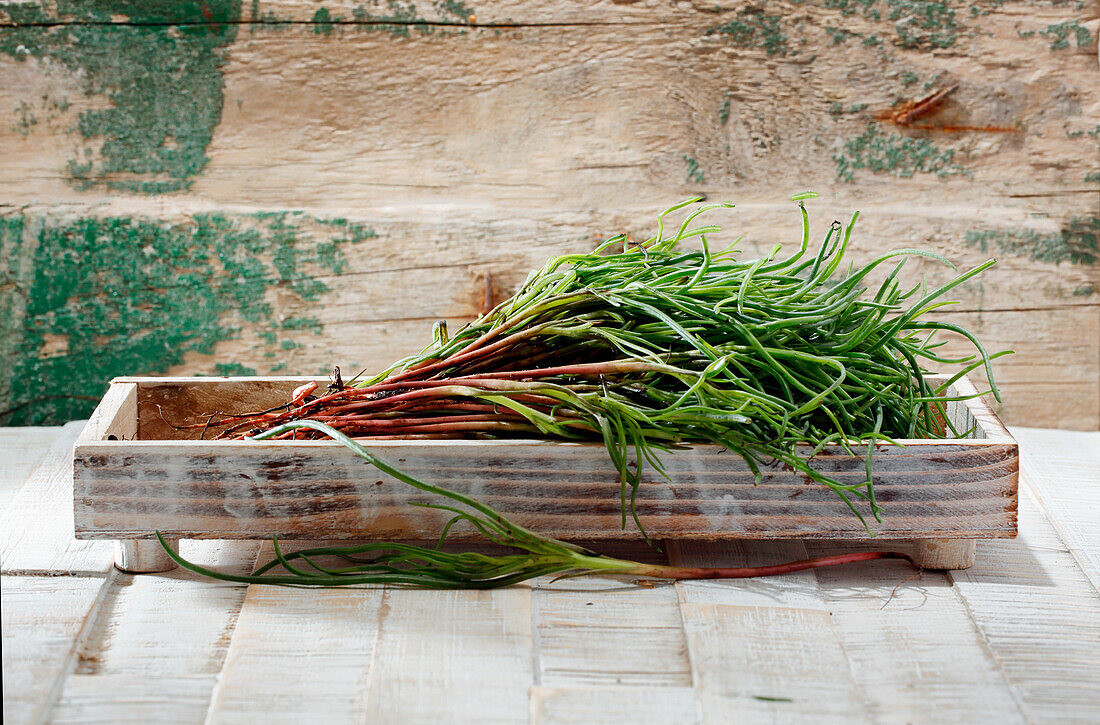 Monk's beard (bot. Salsola soda) in a wooden bowl