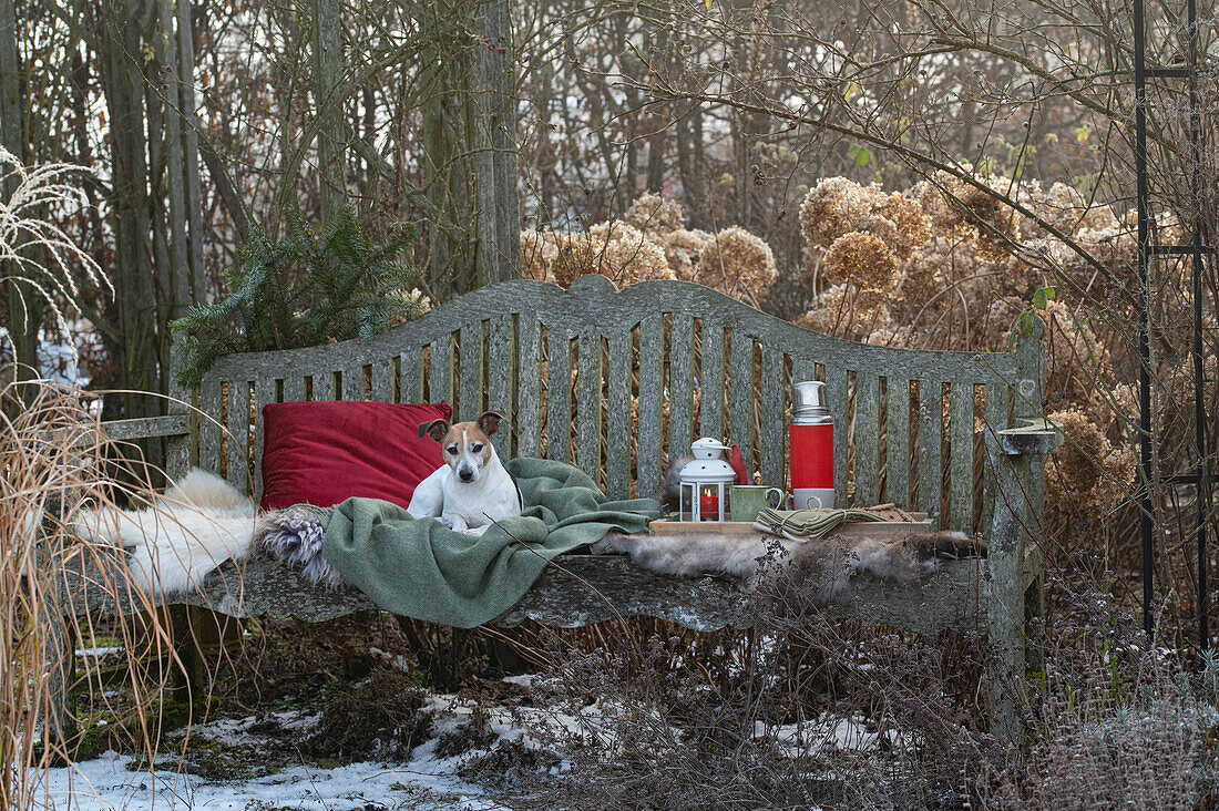 Garden bench with fur, cushions, Christmas decorations, and dog