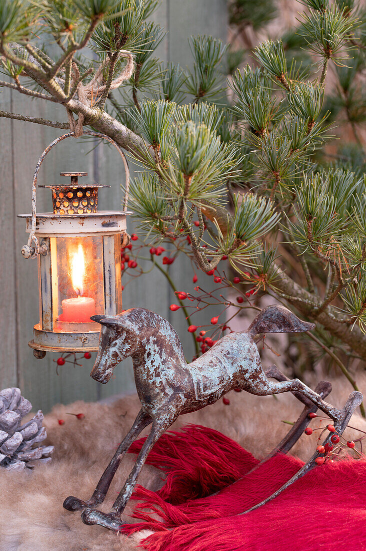 Eastern white pine (Pinus strobus) with lantern, including vintage decorative rocking horse