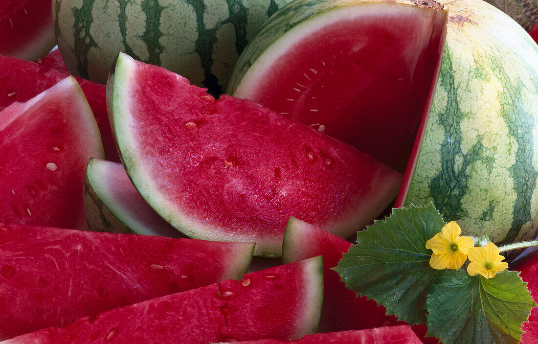 Watermelon cut into quarters