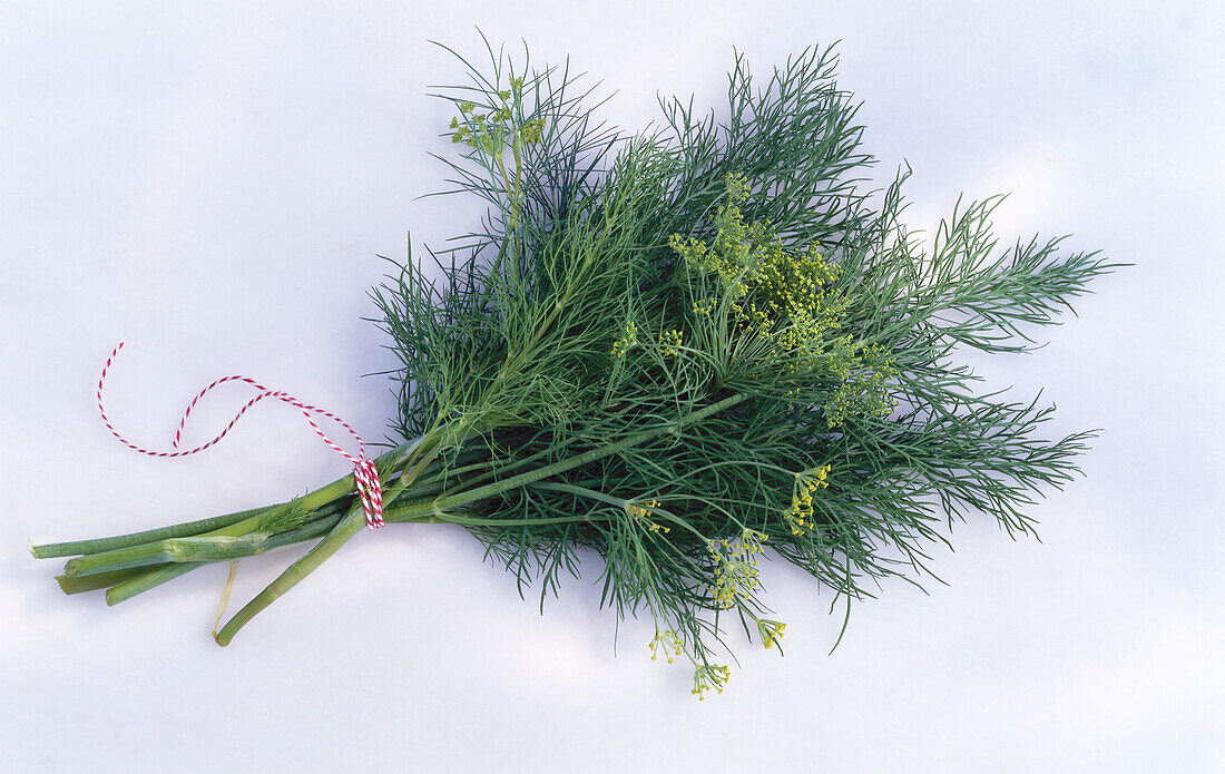 A bunch of dill on a light background