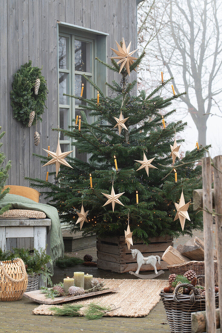 Nordmann fir, decorated with wooden stars