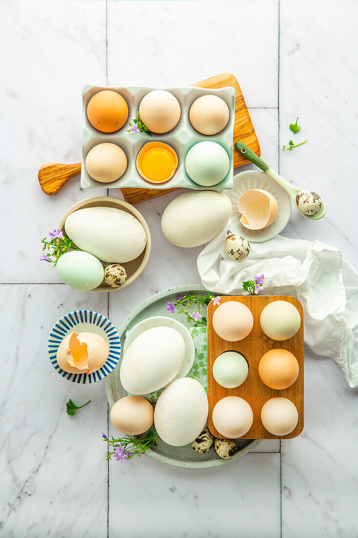 Different egg varieties