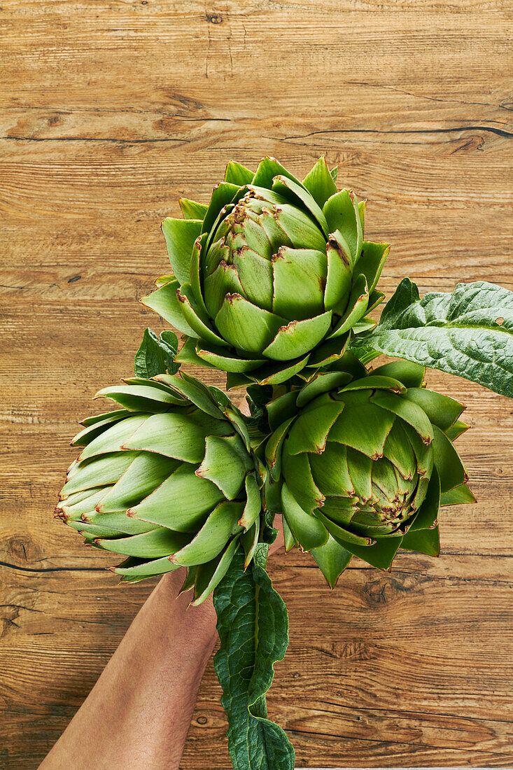Hand holding fresh artichokes on a wooden background