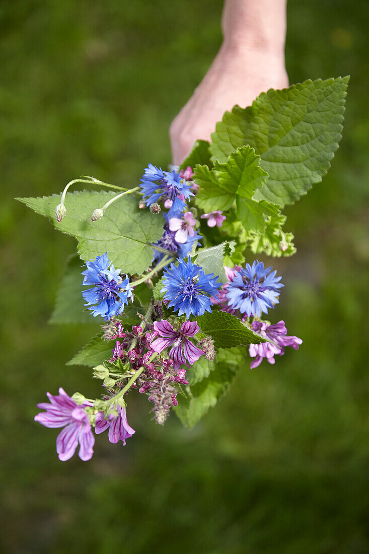 Kräuterstrauß mit Blüten für die Herstellung von Gomasio