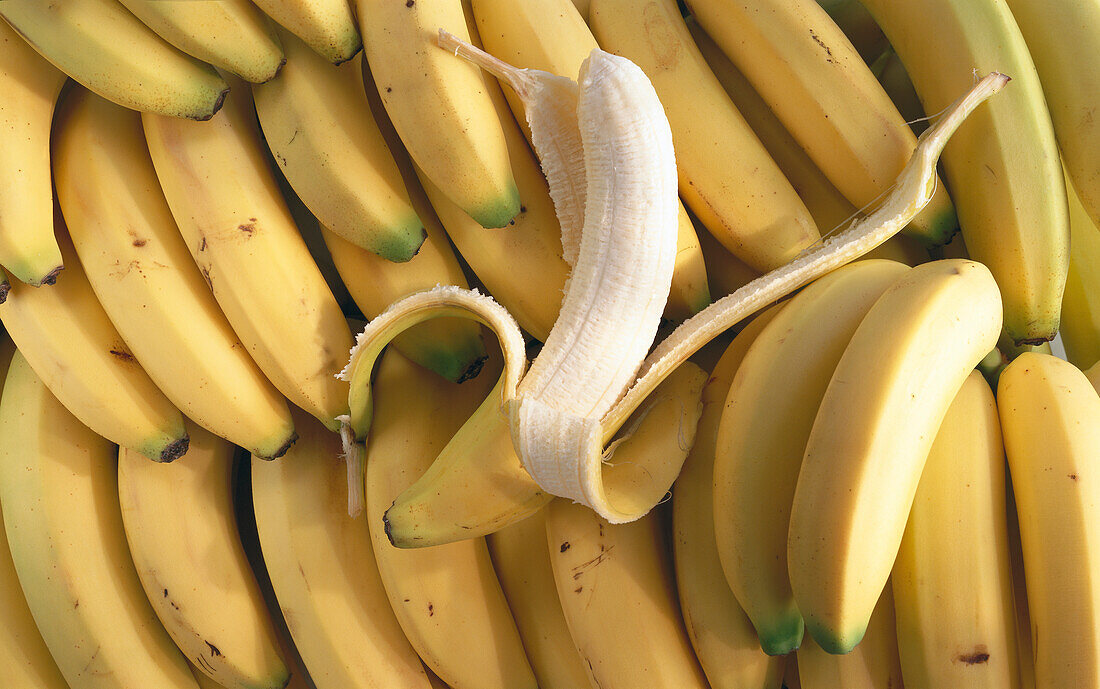 Viele Bananen, eine teilweise geschält (Bildfüllend)