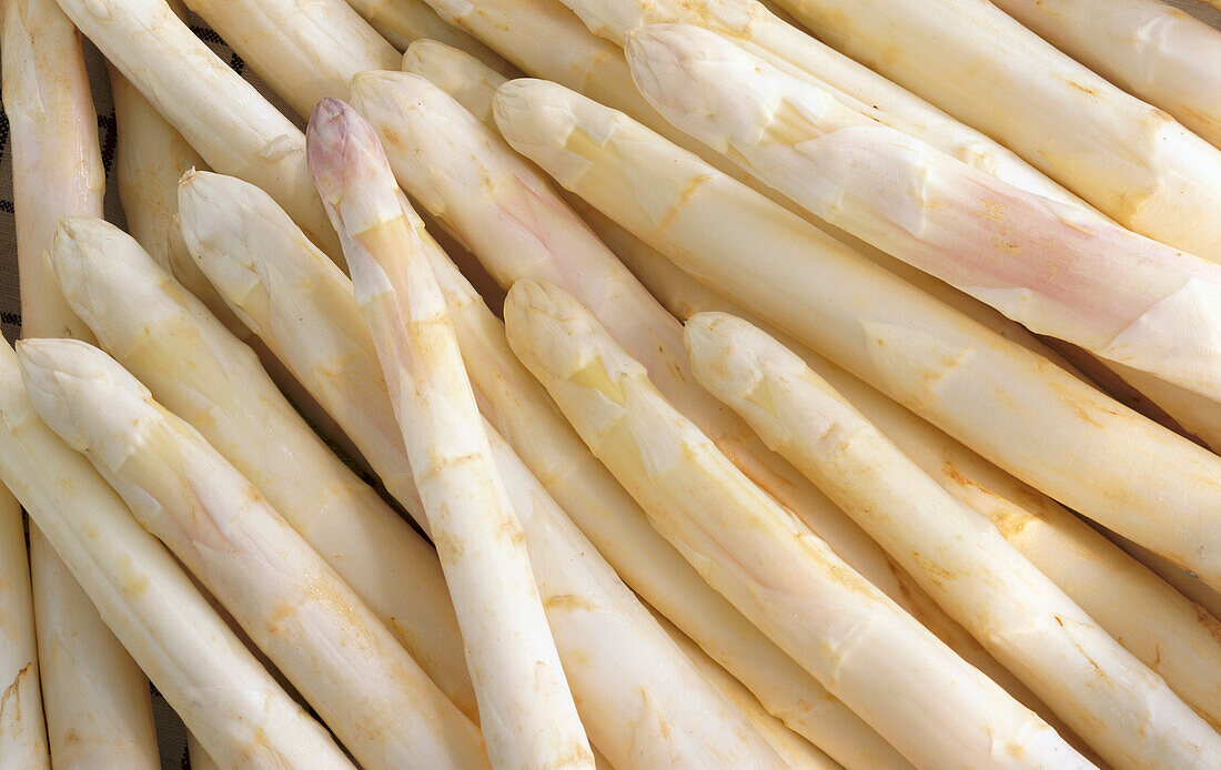 White asparagus spears (full picture)