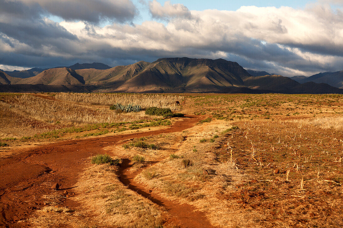 Typische Steppenlandschaft im Hochland, Königreich Lesotho, Südafrika
