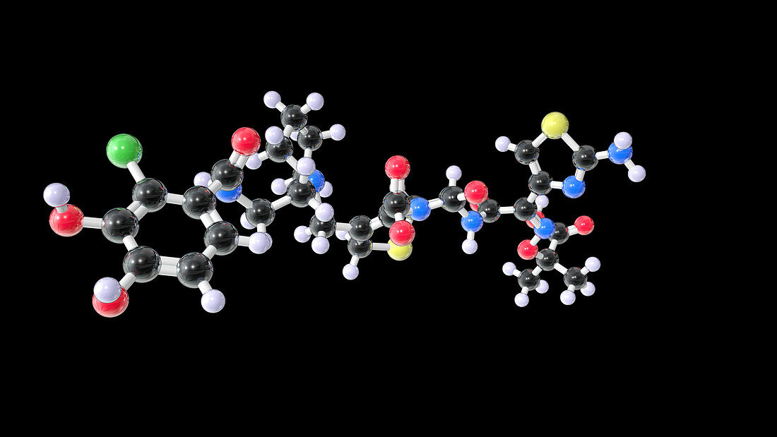 Cefiderocol antibiotic drug, molecular model