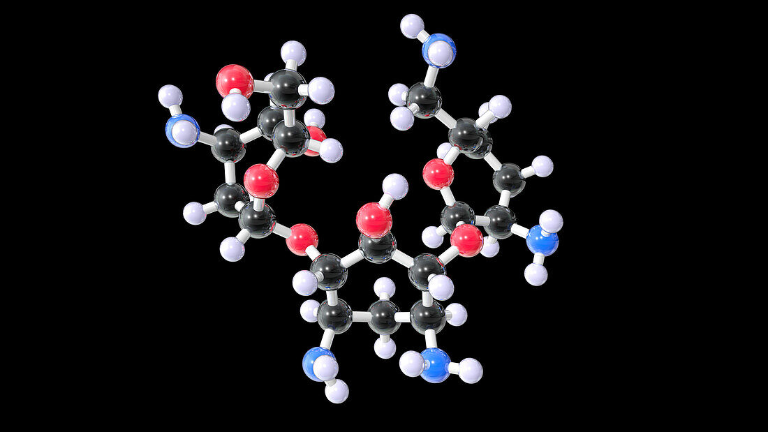 Dibekacin antibiotic drug, molecular model