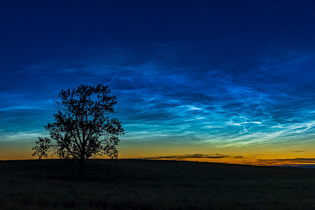 Noctilucent clouds