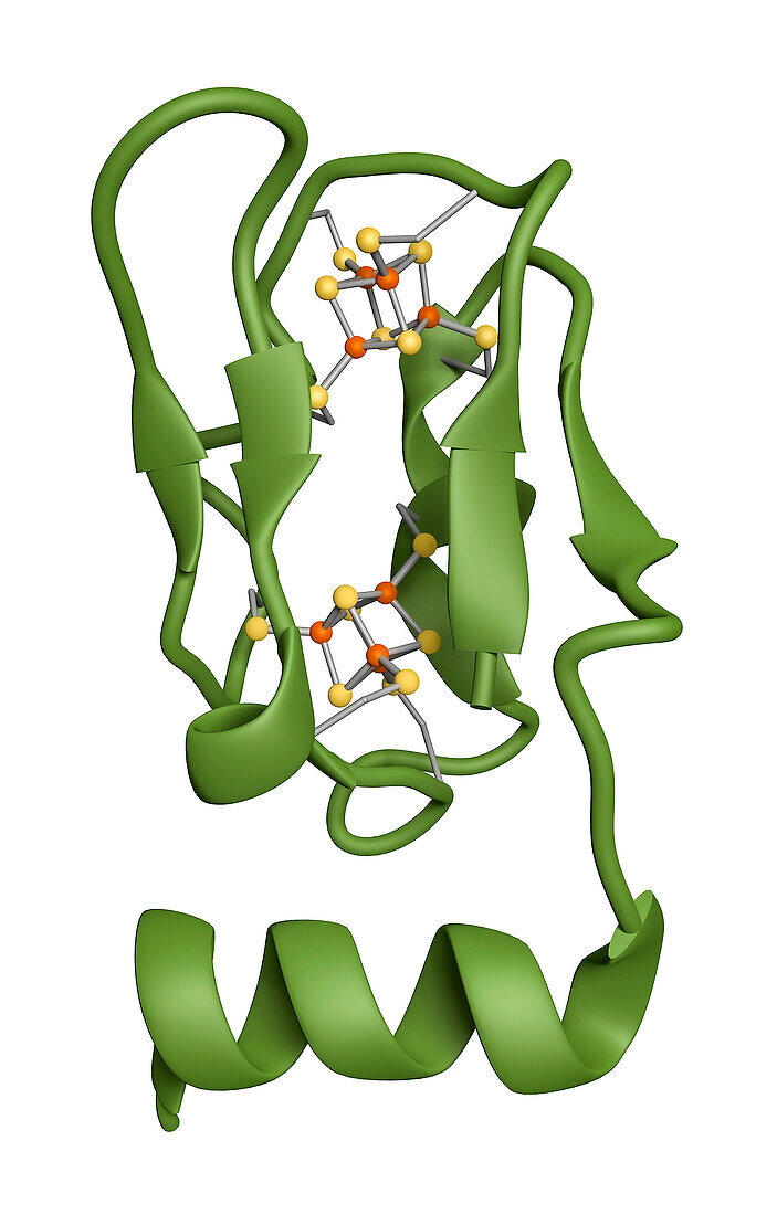 4Fe-4S ferredoxin core, molecular model