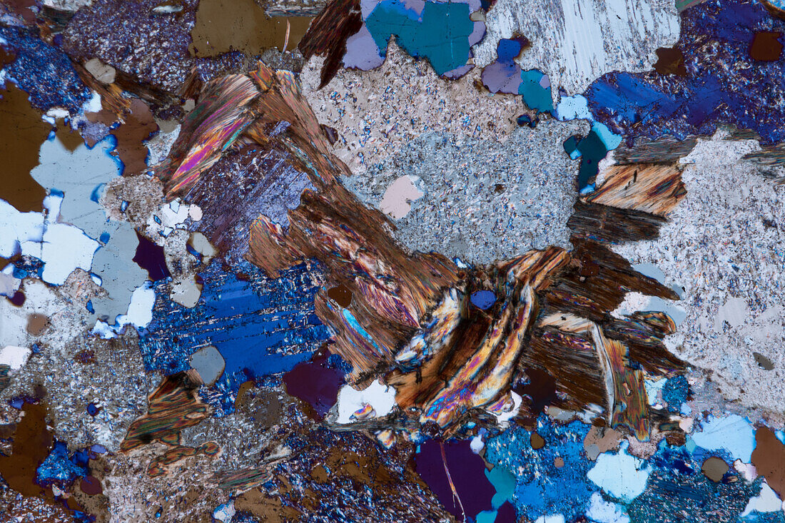Paragneiss, thin section, 60:1