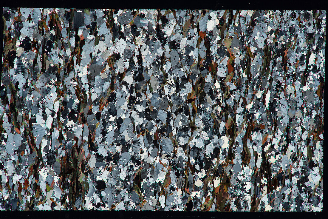 Paragneiss, thin section, 4:1