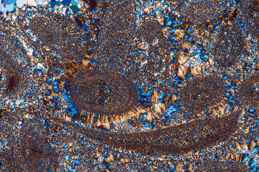 Oolith, thin section 60:1