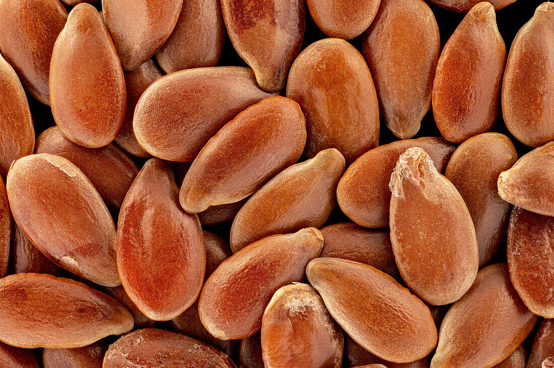 Flax (Linum usitatissimum) seeds
