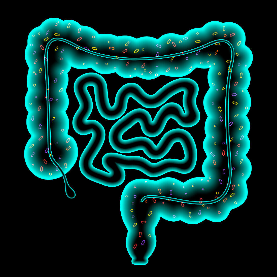 Gut microbiome, illustration