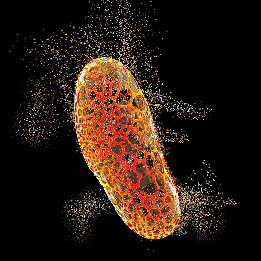 Destruction of bacterium, conceptual illustration