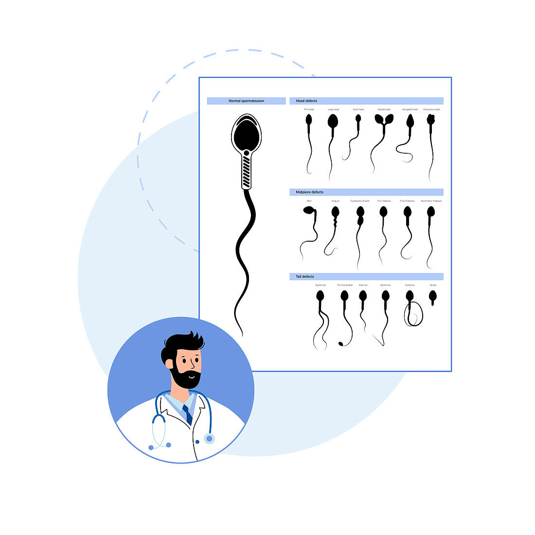 Male fertility, conceptual illustration