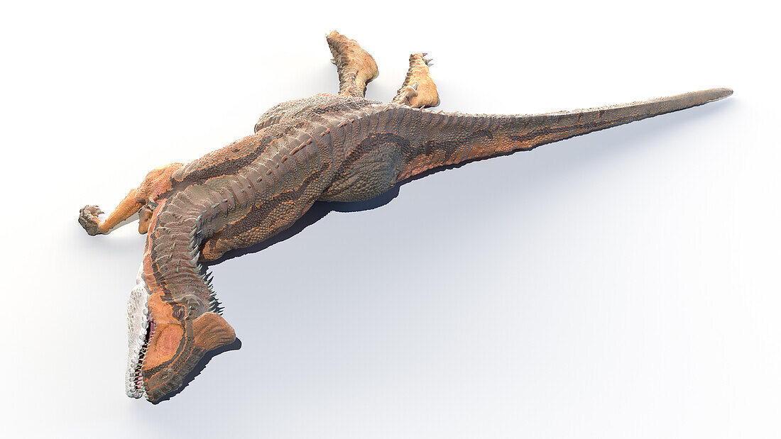 Cryolophosaurus, illustration