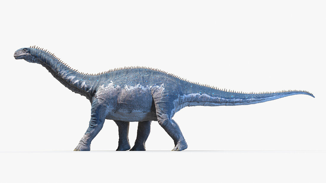 Isanosaurus, illustration