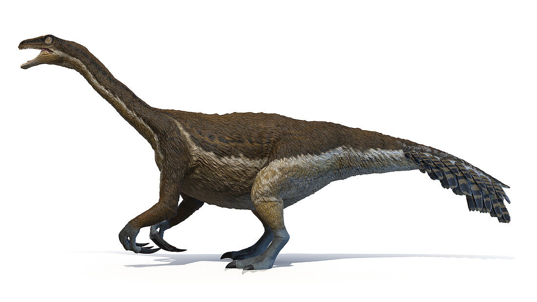 Therizinosaurus, illustration