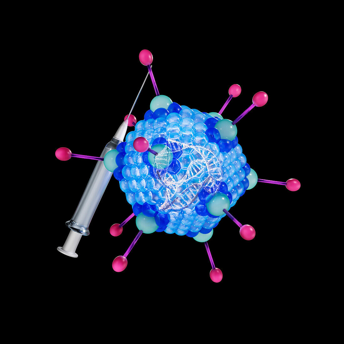 Adenovirus as a viral vector, illustration