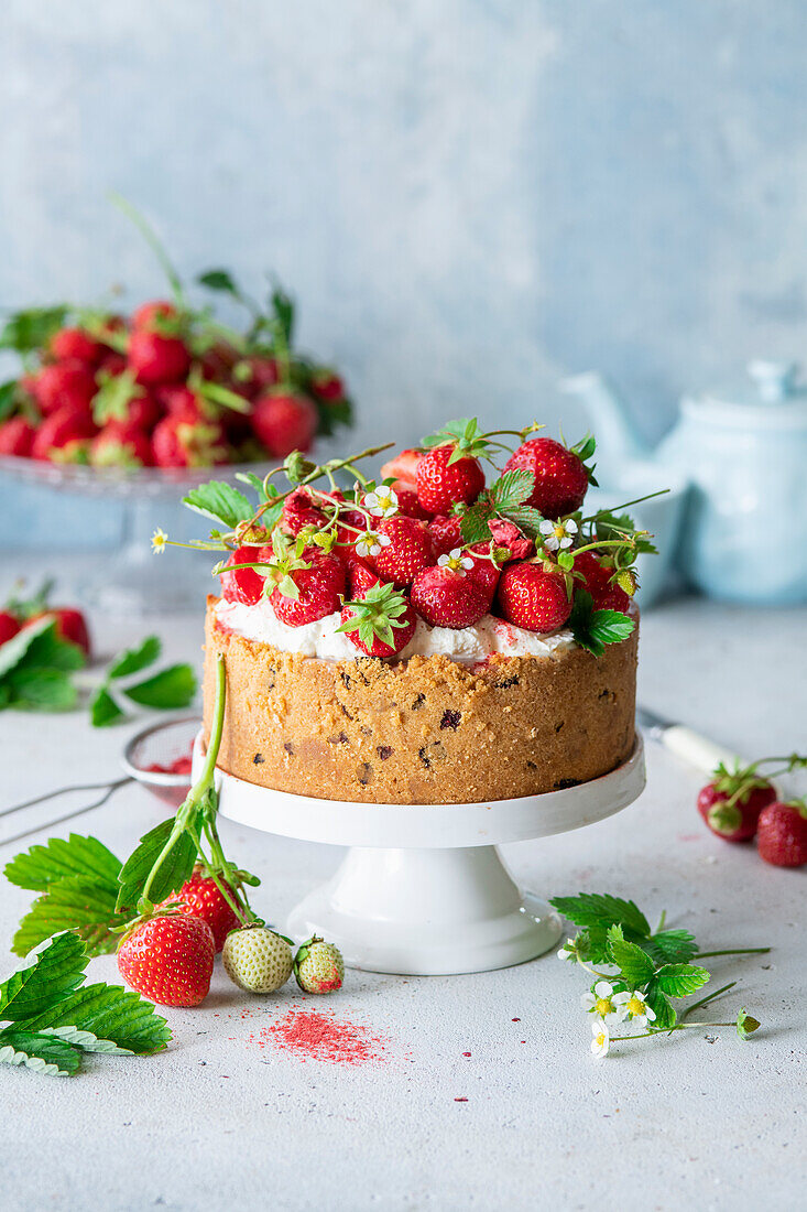 Erdbeer-Käsekuchen mit gefriergetrockneten Erdbeeren