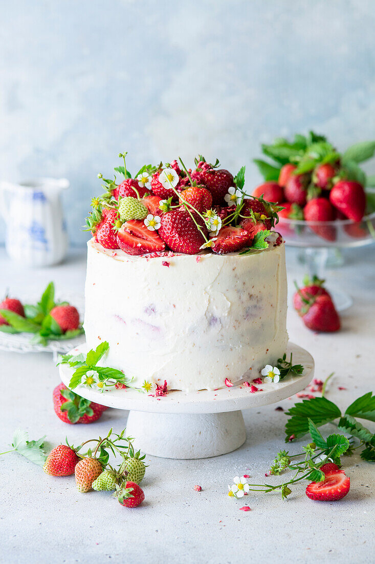 Erdbeer-Vanille-Torte mit Mascarponecreme