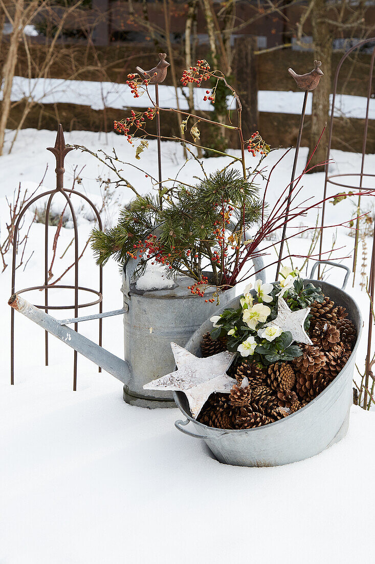 Winterliche Gartendekoration mit Tannenzweigen und Zapfen in Zinkbehältern