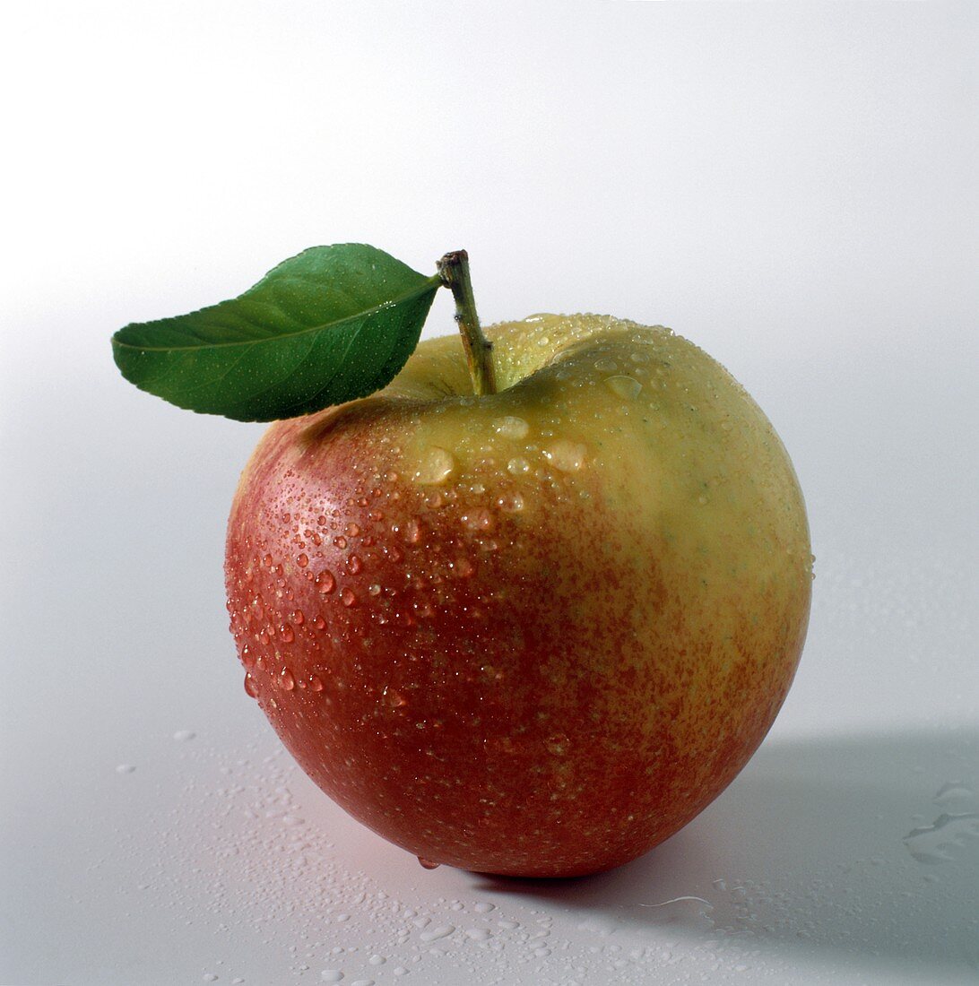 Ein Apfel (Cox Orange) mit Stiel & Blatt