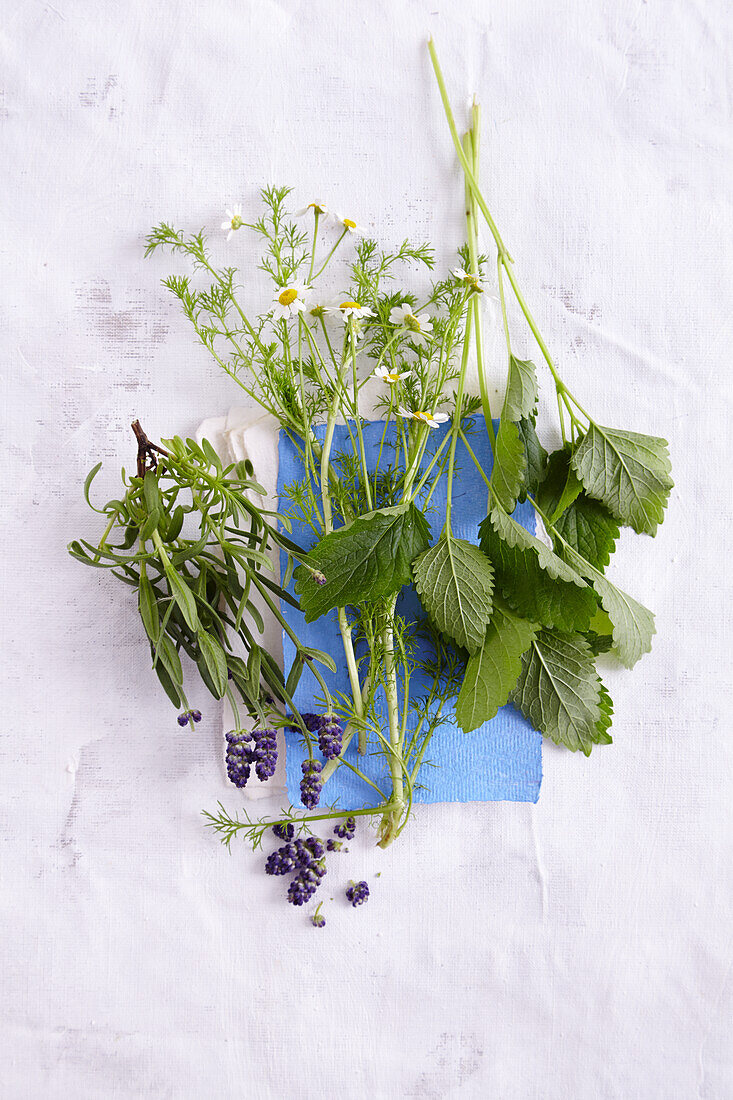 Still life with lavender, camomile, and lemon balm (dreamy, relaxing)