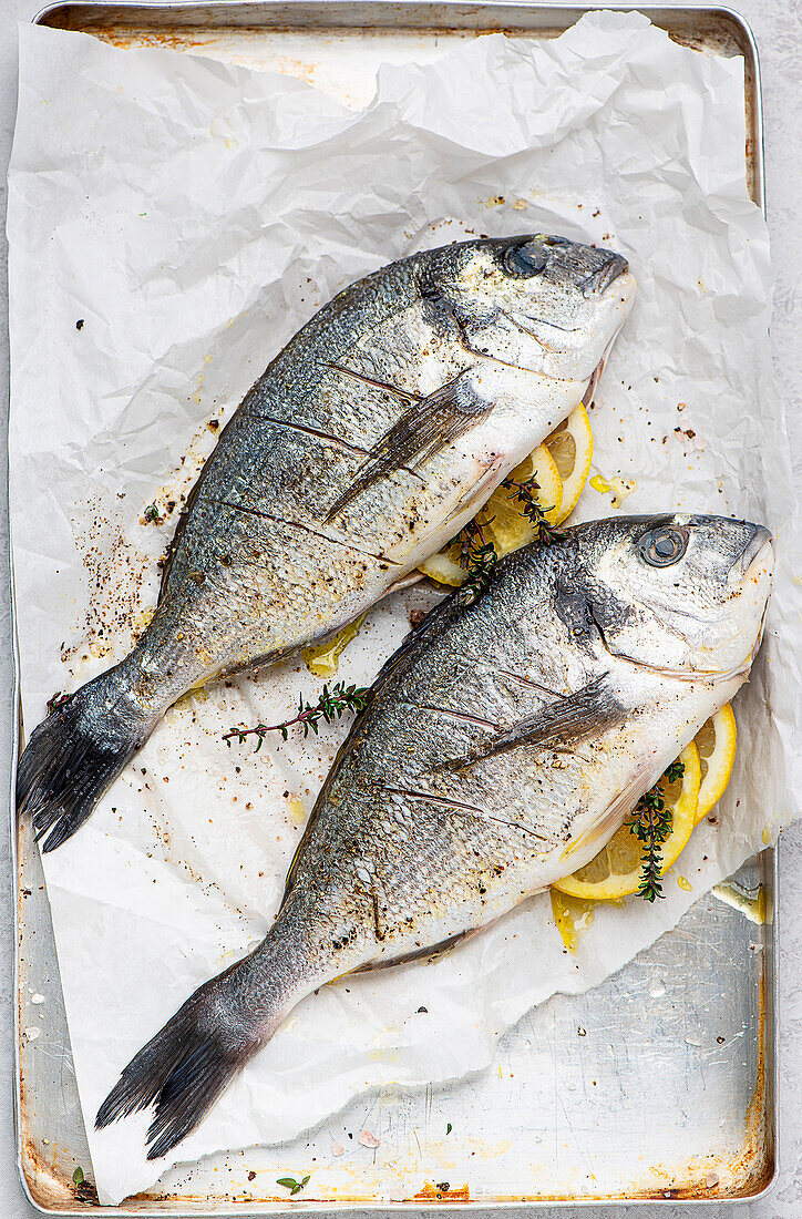 Grilled whole gilt-head seabream