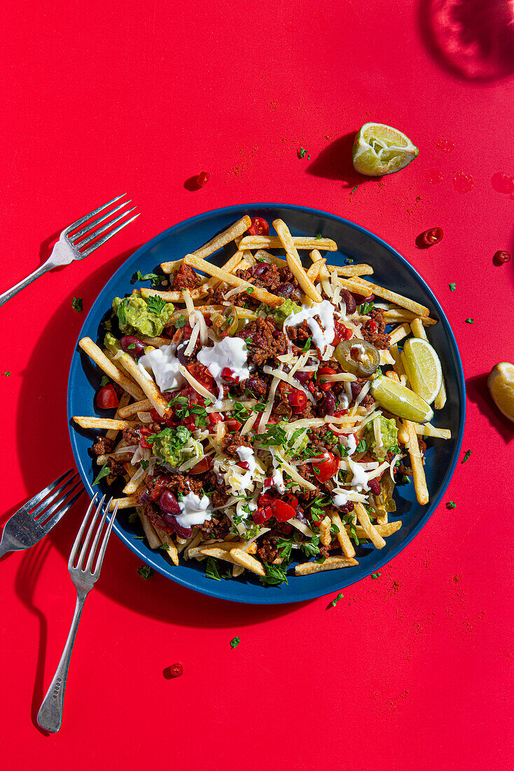 Loaded nacho fries with Mexican spiced beef, salsa, cheese, guacamole, sour cream and lime