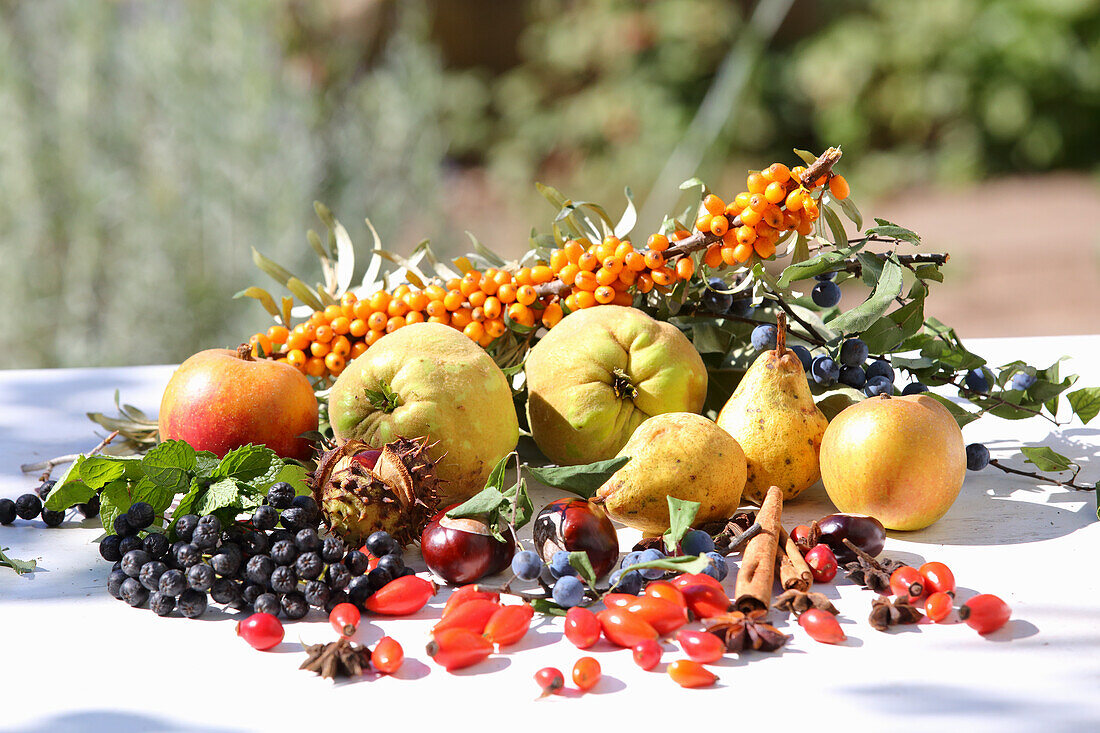 Still life with various autumn fruits