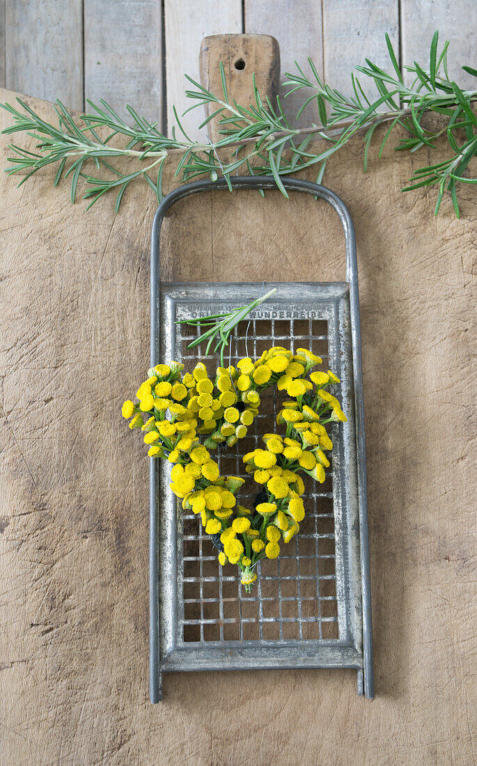 Herz aus Rainfarn (Tanacetum vulgare) mit Reibegitter und Rosmarin