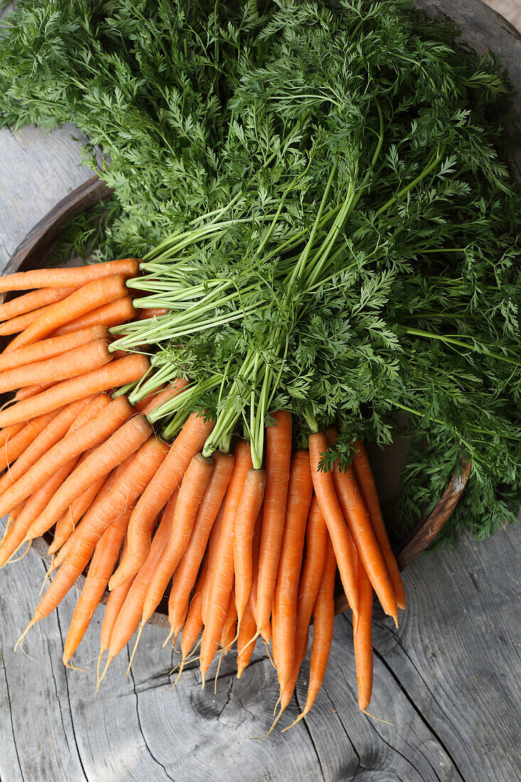 Fresh ripe carrots on a work surface