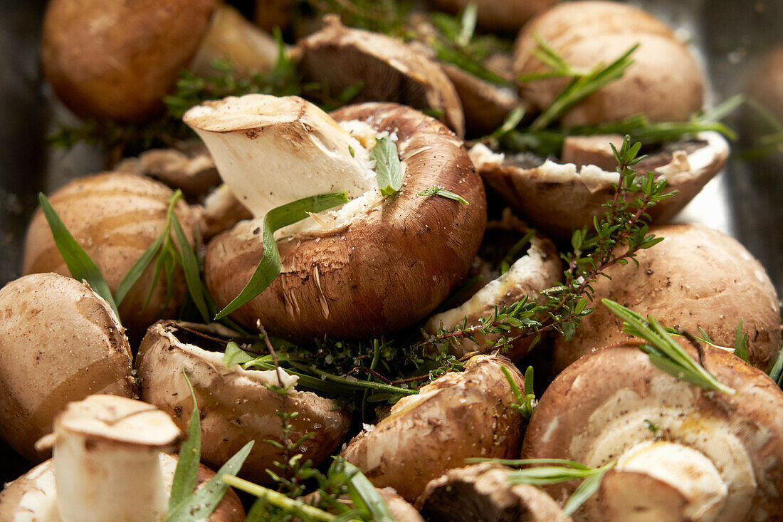 Fried Mushrooms with Herbs (Close Up)