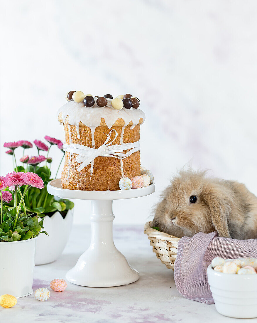 Panettone cake for Easter and rabbit in a basket