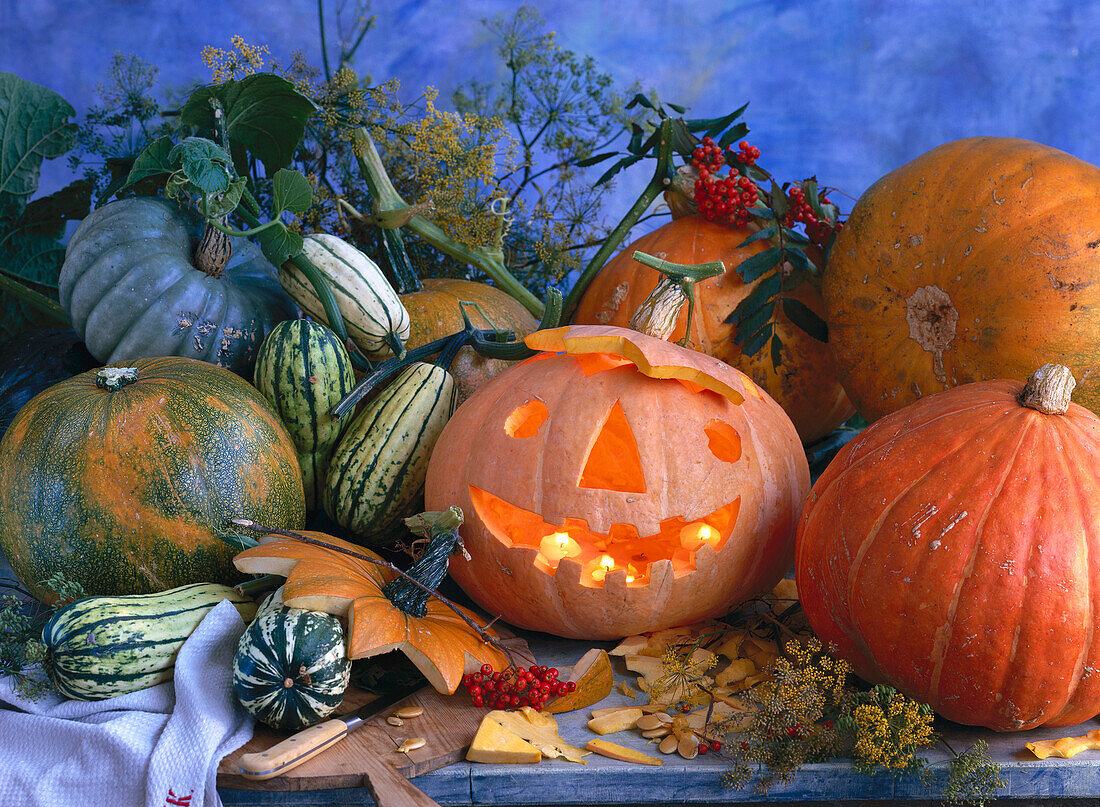 Halloween pumpkin and various types of pumpkins