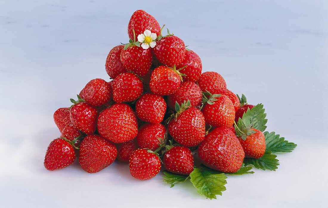 A bunch of strawberries on a light background