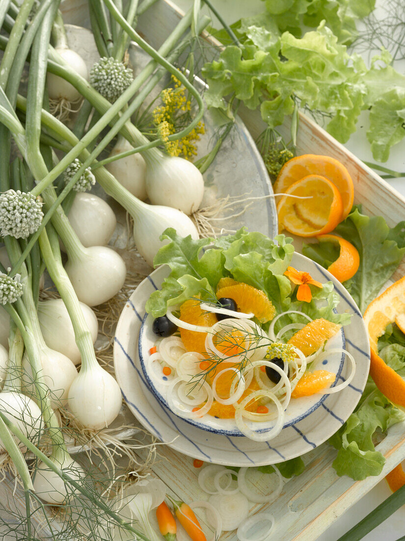 Salat mit weissen Zwiebeln, Apfelsinen und Oliven