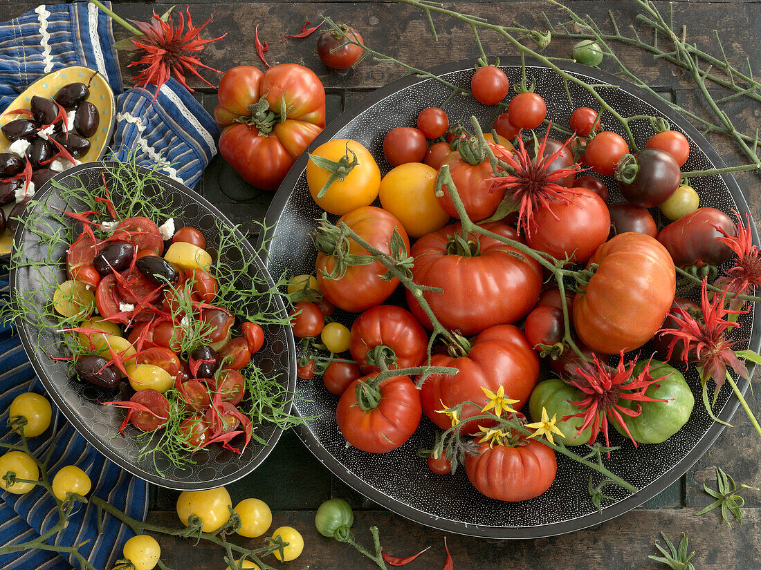 Stilleben mit gelben und roten Tomaten daneben Tomatensalat mit Feta und Oliven