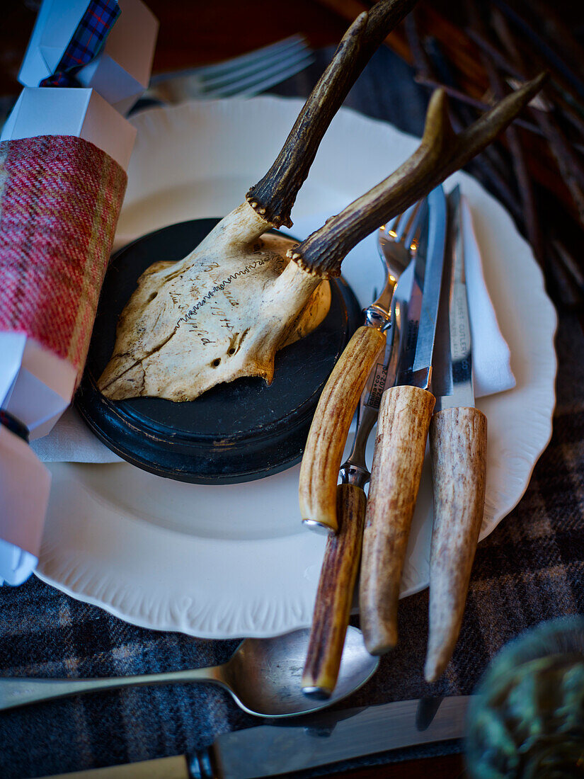 Rustic autumnal place setting with antlers